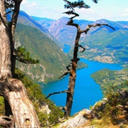Nacionalni Park Drina