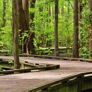 Woods Bay State Park