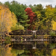 Lincoln Woods State Park, Rhode Island