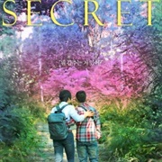 Secret (2013)