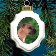 American Staffordshire Ornament