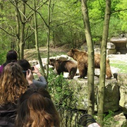 Bad Mergentheim Wildlife Park