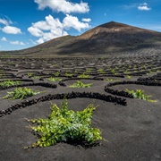 La Géria, Lanzarote