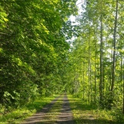 Greenbrier River Trail State Park, West Virginia