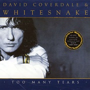 Too Many Tears (Whitesnake)