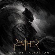 Pain of Salvation, Panther
