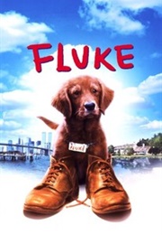 Fluke (1995)