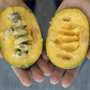 Pawpaw