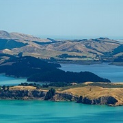 Quail Island