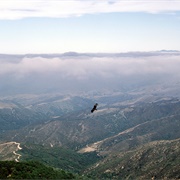 Fremont Peak State Park