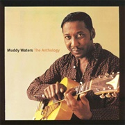 Muddy Waters - The Anthology