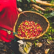 Matagalpa, Nicaragua