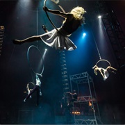 Nofit State Community Circus