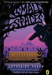 Small Spaces (Katherine Arden)