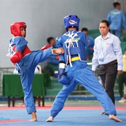 Vovinam Viet Dao