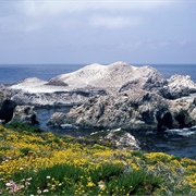 Big Sur Coast