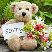Sincere Apologies