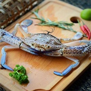 Flower Crab (Portunus Armatus)