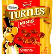 Turtles Minis