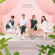 The Secret Life of My Secretary (2019)