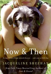 Now & Then (Jacqueline Sheehan)