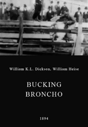 Bucking Broncho (1894)