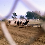 Monterey County Fair