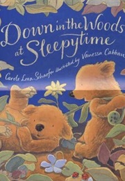Down in the Woods at Sleepytime (Carole Lexa Schaefer)
