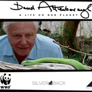 David Attenborough Life on Our Planet