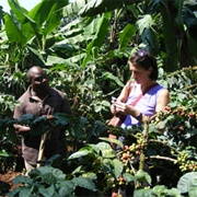 Kahawa Shamba Coffee Project, Tanzania