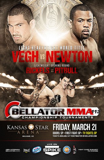 Bellator 113 (2014)
