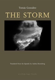 The Storm (Tomás González)