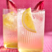 Chicory Collins