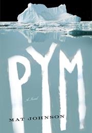Pym (Mat Johnson)