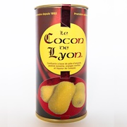 Le Cocon De Lyon (France)