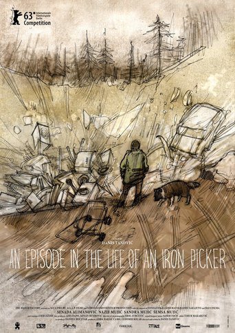 An Episode in the Life of an Iron Picker (2013)