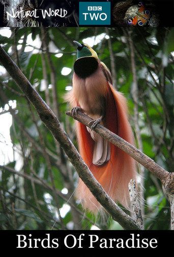 Birds of Paradise (2010)
