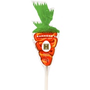 Hammond's Easter Carrot Lollipop