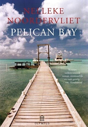 Pelican Bay (Nelleke Noordervliet)