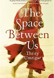 The Space Between Us (Thrity Umrigar)