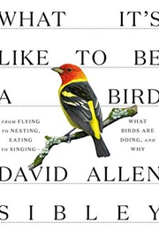 What It's Like to Be a Bird (Allen Sibley)
