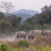 Kaeng Krachan Forest Complex