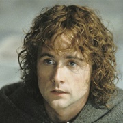Pippin Took