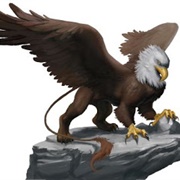Griffon