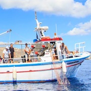 Santorini Fishing Tour