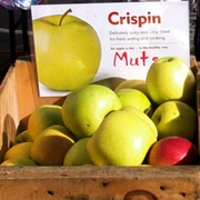 Crispin Apple