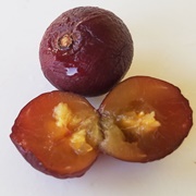 Governor's Plum