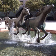 The Mustanges of Los Colinas