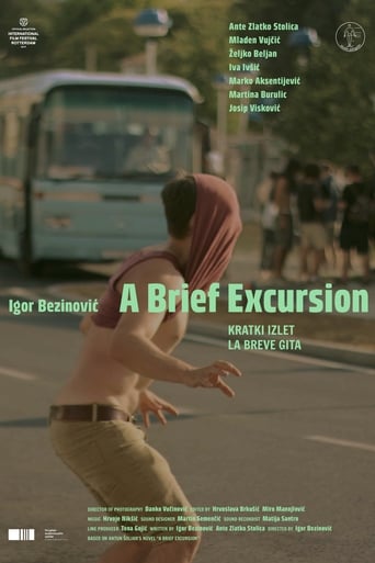 A Brief Excursion (2017)