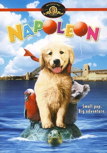 Napoleon (1995)